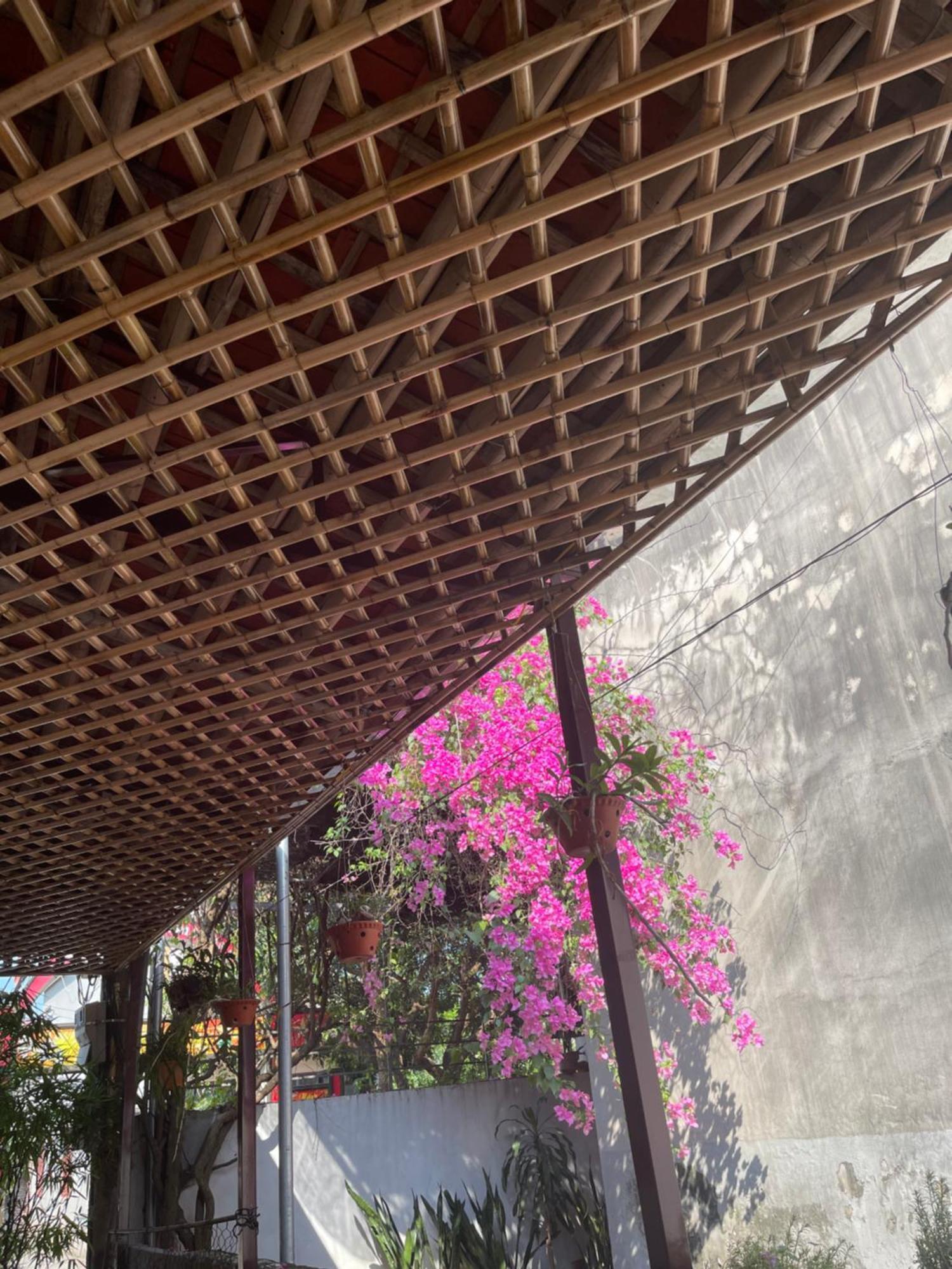 Thuy Xuyen Tam Coc Homestay Vu Lam Luaran gambar