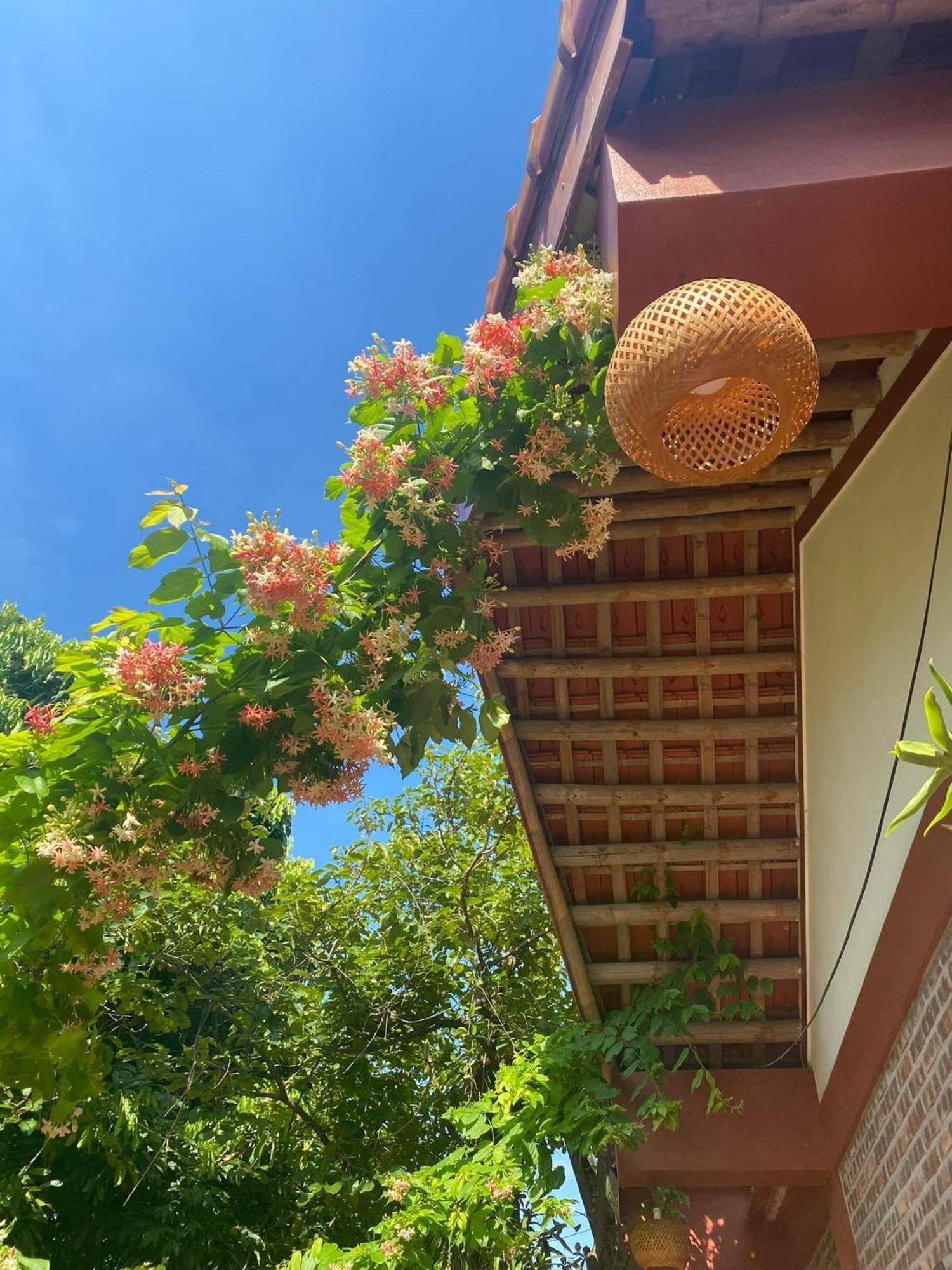 Thuy Xuyen Tam Coc Homestay Vu Lam Luaran gambar
