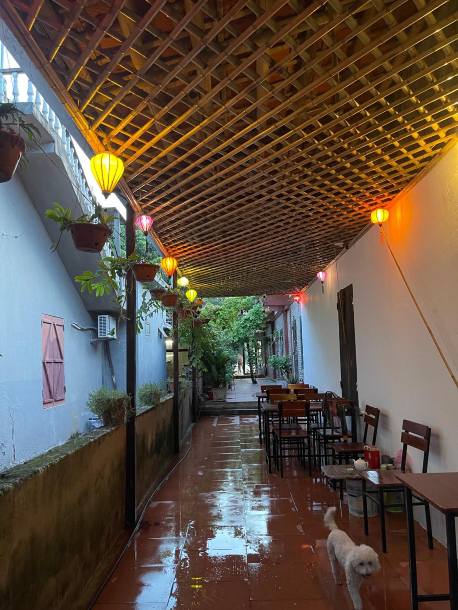 Thuy Xuyen Tam Coc Homestay Vu Lam Luaran gambar