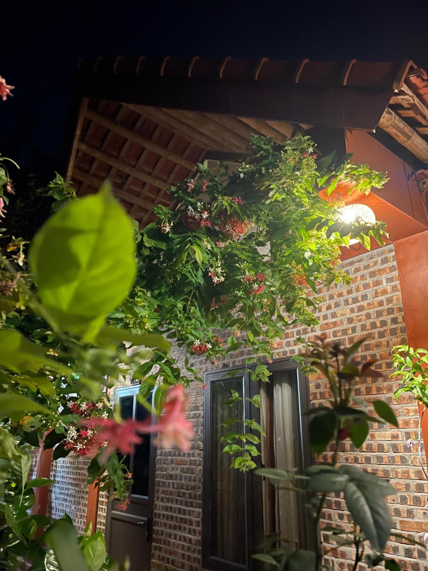 Thuy Xuyen Tam Coc Homestay Vu Lam Luaran gambar